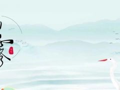 今日白露  | 清風白露，愿歲月無憂