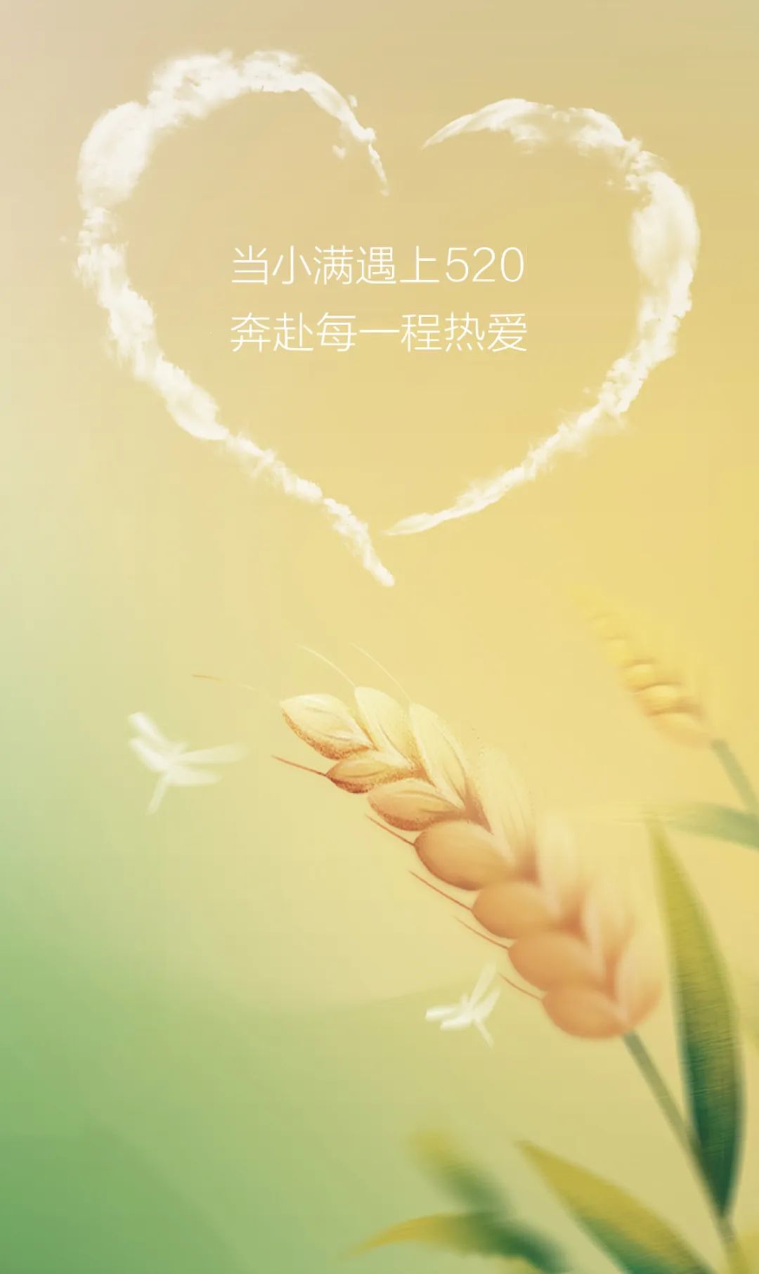 今日小滿 | 當520遇上小滿，愿你人生小滿，愛意滿滿