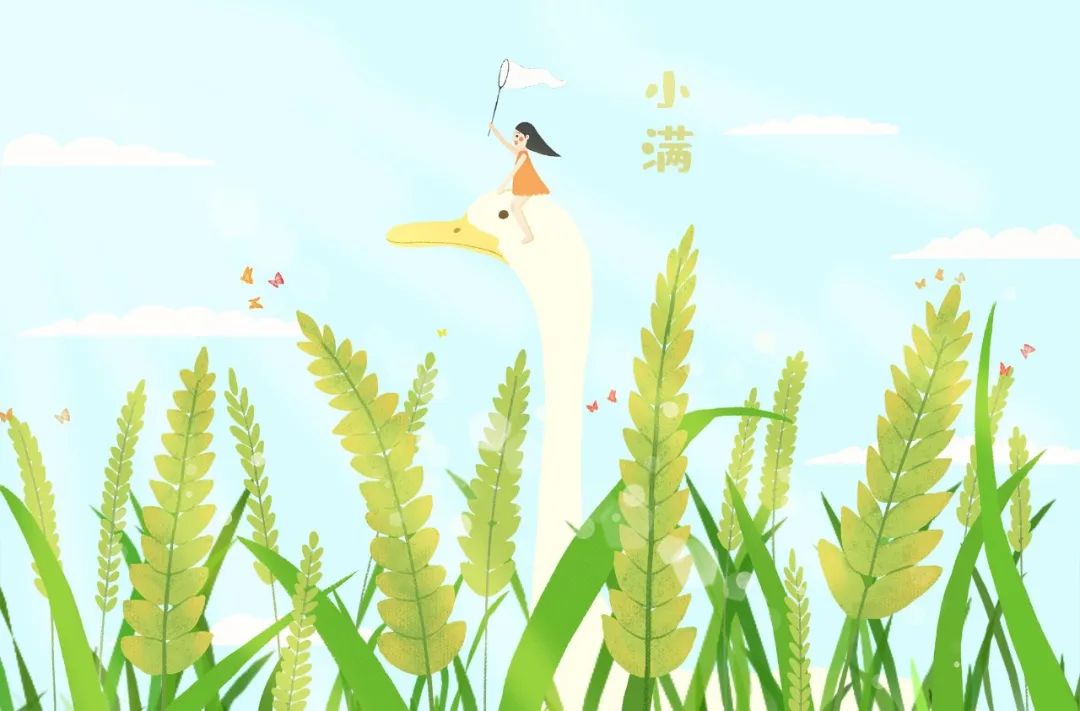 今日小滿 | 當520遇上小滿，愿你人生小滿，愛意滿滿