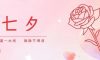 七夕 | 鵲橋相會，情意綿綿