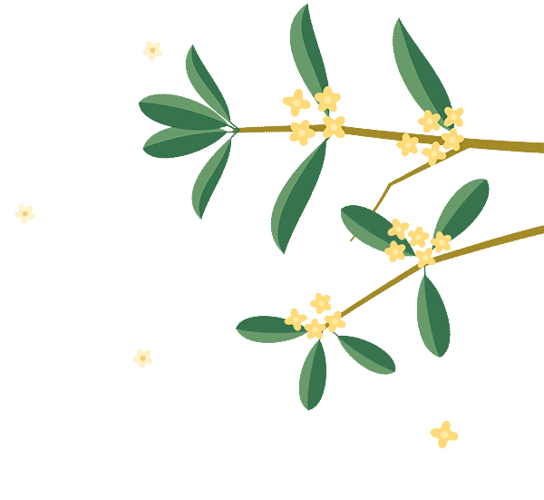 花好月圓·清風裝飾·中秋專享惠，九重福利，驚喜連連！