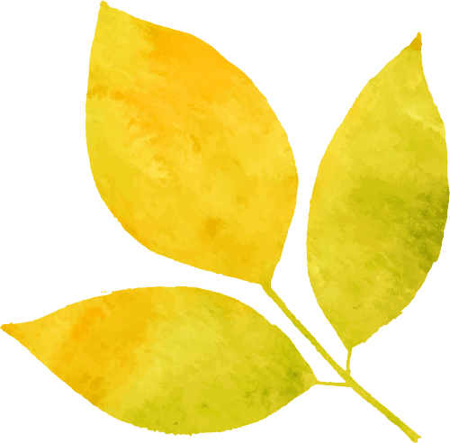 秋分 | 秋分已至 歲月靜好 秋分 | 秋分已至 歲月靜好